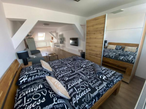 Černý Tulipán - apartmán 6, Plzen